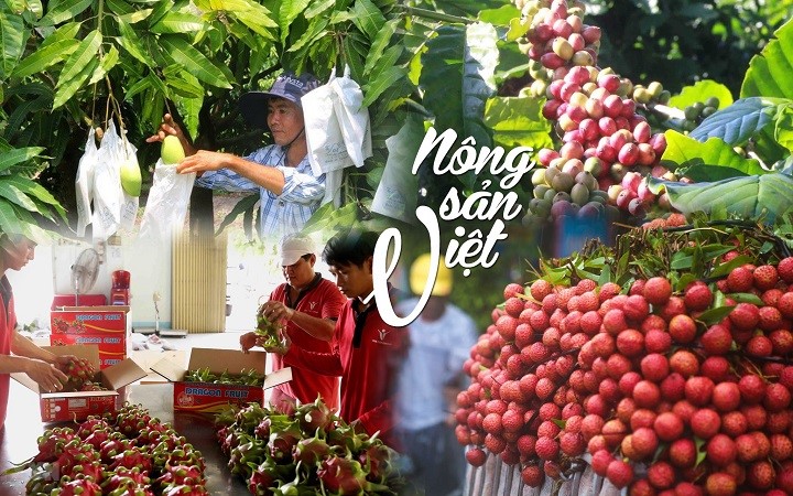nong-san-viet-nam