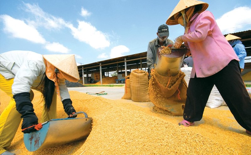 vi-sao-doanh-nghiep-viet-can-da-dang-hoa