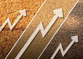 du-doan-xu-huong-nhap-khau-nong-san-tho