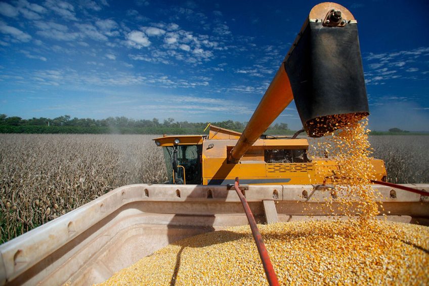 3-thach-thuc-lon-cua-nganh-nhap-khau-nong-san