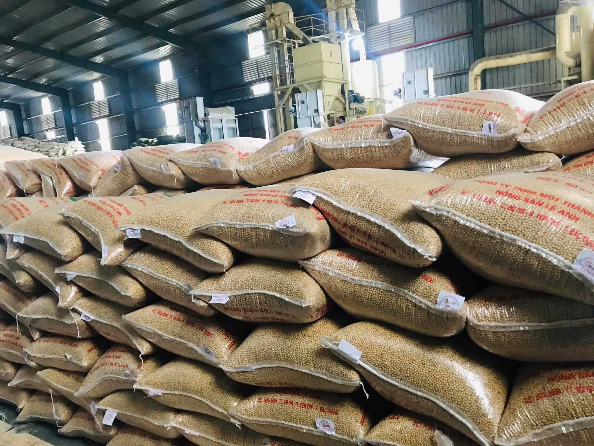 Kho hàng Nông sản Lê Anh sẵn số lượng lớn sản lượng Hạt đậu tương chất lượng đạt chuẩn quốc tế